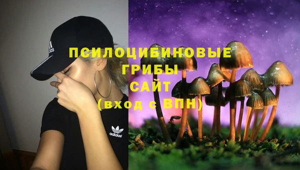 мяу мяу мука Абдулино