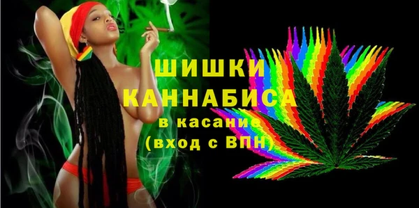 ПСИЛОЦИБИНОВЫЕ ГРИБЫ Пересвет